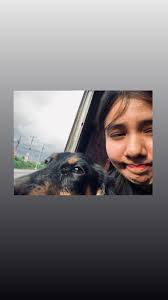 Profile for Dachshund and Friends