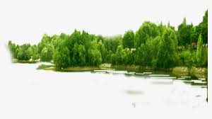 Forest Background Png Images Free Transparent Forest Background Download Kindpng You can like/unlike this once a day. forest background png images free
