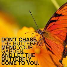 Mend your garden, and let the butterfly come. Women Affairs Don T Chase Butterflies Mend Your Garden Facebook