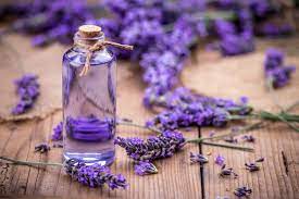 Top 25 Incredible Lavender Essential Oil Uses And Benefits Lavender Essential Oil Uses Best Essential Oils Essential Oils Dogs