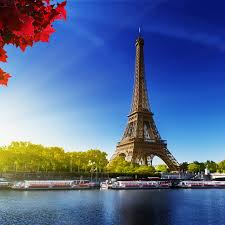 Wie sie bei befall von wänden, tapeten und holz vorgehen, zeigen wir ihnen in diesem beitrag. Eiffelturm Tapeten Paris Stadt Wallpaper 1024x1024 Wallpapertip