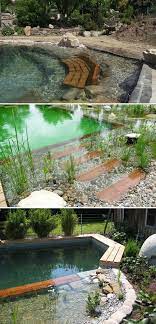 Natural Swimming Pool With Hidden Benches Pool Naturalpool Natural Swimming Ponds Swimming Pools Backyard Natural Swimming Pools