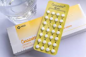 Image result for Mini-Pill