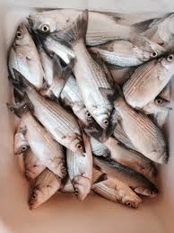 Some of the restaurants listed in this piece are not open for business at the time of publication. White Bass Fish Tacos Wild Forage