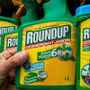 The company is also known for producing genetically modified seeds despite the arguments on each side, monsanto is not the only company producing these types of products. 1