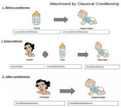 Conditioning Attachment Theory Social Learning Theory Classical Conditioning Psychology