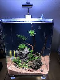 Nice 30 Awesome Fish Tank Ideas Https Gardenmagz Com 30 Awesome Fish Tank Ideas Aquascape Aquarium Fish Tank Aquarium
