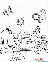 Ausmalbild Fur Kinder Mit Dem Kleinen Maulwurf Pauli Ausmalbild Mit Maulwurf Und Schubkarre Giesskanne Marienkafer Sch Ausmalbilder Kinder Ausmalen Maulwurf