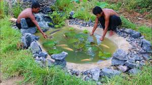 Mar 21, 2018 · these features range from $5000 to $25,000 and can land anywhere in between. How To Build A Koi Pond Arxiusarquitectura