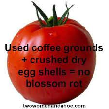 For growing great tomatoes starting off right a greener world. Pin On Cooking Baking Tips