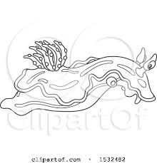 February 18th, 2018 05:47:30 amslugadmin. Clipart Of A Black And White Chromodoris Willani Sea Slug Nudibranch Royalty Free Vector Illustration By Alex Bannykh 1532482