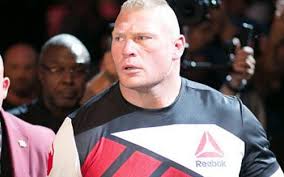 Frank Mir Doesn't Blame Brock Lesnar For Doing The Bare Minimum In WWE