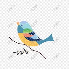 Apakah anda mencari gambar desain siluet burung template psd atau file vektor? Gambar Burung Png Masteran Kicau Club