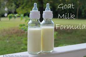 Goat Milk For Newborn Baby Newborn Baby