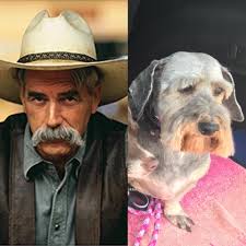 Jasper stone symmetry design ideas and examples