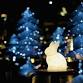 Night Paper Expo – The Luminous Forest and the..... event in Ino, Kochi