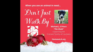 Help the aspca put a stop to animal cruelty. Humane Society Of Louisiana