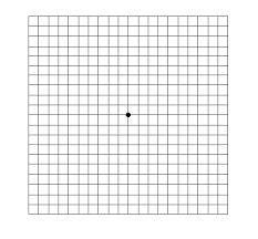 Amsler Recording Chart Georgia Retina