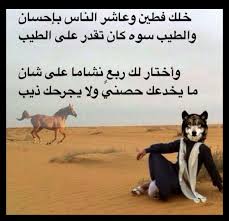 ذيب م