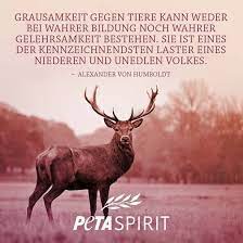 ©2020 by peta tech solution sdn. Peta Spirit Alle Zitate Mit Bilder Von Peta Spirit Auf Einem Blick Geist Zitate Inspirierende Spruche Veganer Zitate