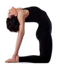 445 x 445 jpeg 14kb. Ustrasana Camel Pose Yogaasan