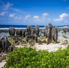 Republic of nauru ripublikee naoero. Nauru Warum Vogelkot Fur Die Sudsee Insel So Wichtig War Welt