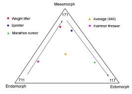 somatotypes teachpe com