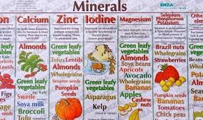 vitamins and minerals chart mineral chart vitamins