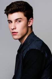 Tumblr Nqbn2cdeah1tcjx5vo1 500 Png 500 750 Shawn Mendes Shawn Mendez Shawn