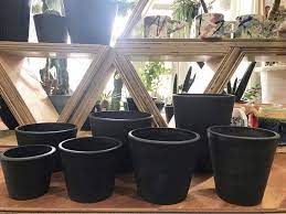 プラ鉢 ポット ブラック プラスチック 黒 植木鉢 鉢 アガベ 玄関 鉢植え