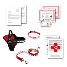 How to make your dog a service dog. How To Register A Dog As A Service Dog Arxiusarquitectura