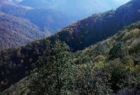 Deyilənə görə, şuşanın dağları mahnısında da bu mübarizənin simvolları var. Susanin Daglari AzÉ™rtac AzÉ™rbaycan DovlÉ™t Informasiya Agentliyi