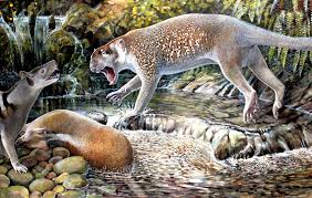A Rare Great Ape A 130 Foot Tall Tree And An Extinct Marsupial Lion Make The Top 10 New Species List For 2018 Lion Species Extinct Animals Marsupial