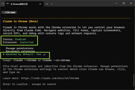 Claude Code 第五篇：操控Chrome浏览器！ – 托尼不是塔克