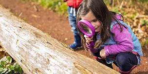Belfairs Nature Tots