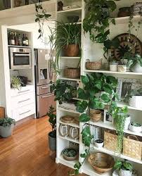 Ma Source D Inspiration Pinterest Deco Plantes Interieur Deco Appartement Et Tablettes Pour Plantes