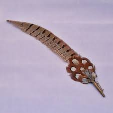 Vintage Feather Brooch Genuine Pheasant And Brass Hat Pin Etsy Pheasant Feather Decor Rustic Feathers Feather