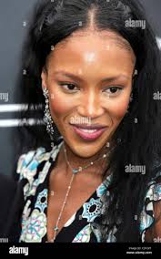 S brant hi-res stock photography and images