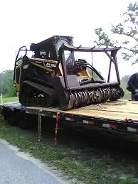 9 Caring for Mother Nature: Restoring a Forest