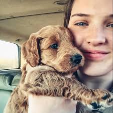 Canning butternut squash recipes?