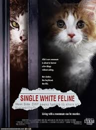 When a 'single white female' places an ad in the press for a similar woman to rent a room. I Can Has Cheezburger Single White Female Funny Animals Online Cheezburger