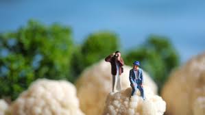 Spiele mit licht & schatten; Kreative Ideen Fur Eltern Und Kinder In Corona Zeiten Ndr De Ratgeber