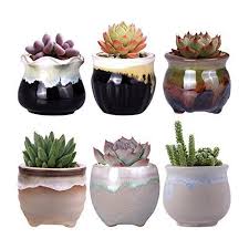 We did not find results for: Yard Garden Outdoor Living Cactus Shaped Planter Succulent Flower Ceramic Indoor Plant Pot Gift Decor New Plant Care Soil Accessories