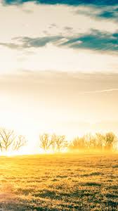 Vast Bright Golden Wither Grass Field Iphone 6 Wallpaper Download Iphone Wallpapers Ipad Wallpapers Iphone 5s Wallpaper Android Wallpaper Sunrise Wallpaper