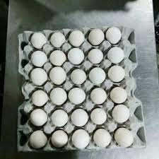 Hal ini dimaksudkan agar asupan nutrisi dan gizi ibu hamil tetap dapat terpenuhi meski sedang menjalankan ibadah puasa. Telur Ayam Kampung Merah 30 Butir Shopee Indonesia