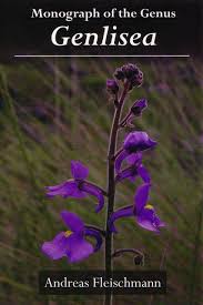 Image result for Genlisea africana