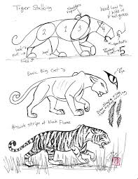 Draw A Tiger By Diana Huang On Deviantart Animal Drawings Tiger Drawing Drawings
