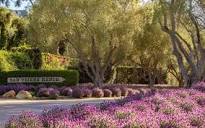 Resorts in Montecito CA | Gallery | San Ysidro Ranch