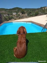 Maybe you would like to learn more about one of these? Vacances Ardeche Leboncoin