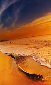 24/7 customer service · satisfaction guarantee Golden Sea Wallpapers Wallpaper Cave